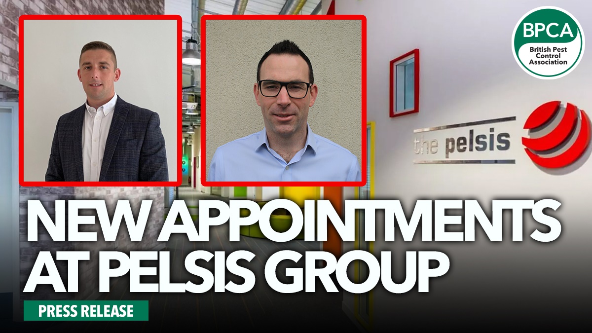 new appointments at pelsis hero